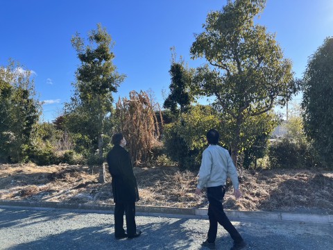 設計監理させていただいております浜北区「あゆみの森こども園 増築工事」の園庭に植えるシンボルツリーを実際に木を販売している畑まで見に行ってきました!